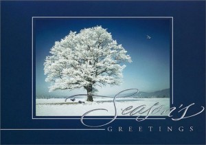 Seasons Greetings 2