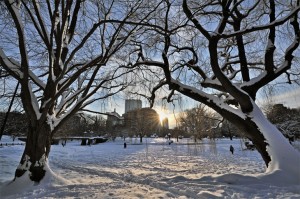 Boston Common