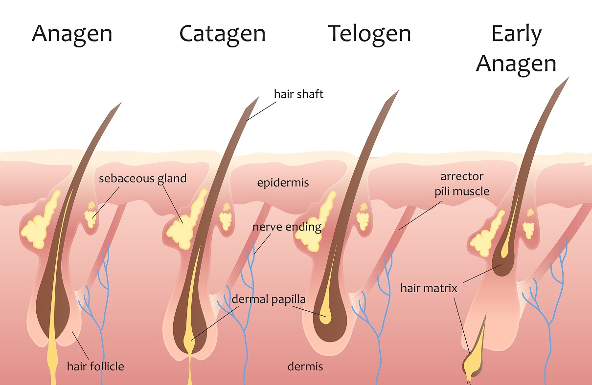 Hair transplants take time to grow, but it's worth the wait